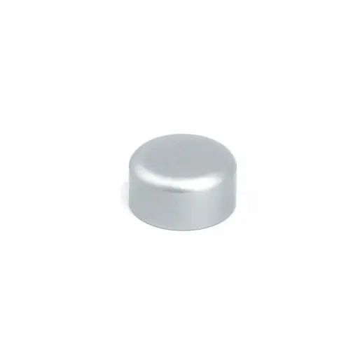 WM19-AL_aluminum-deco-screw-cap-with-wall-plug-for-signs-and-panels