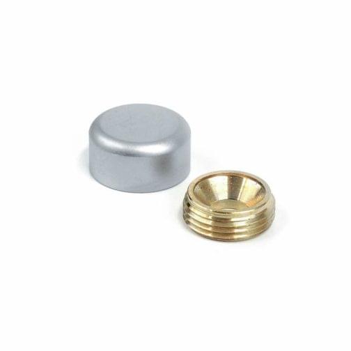 WM19_satin-chrome-brass-deco-screw-cap-with-wall-plug-for-signs-and-panels